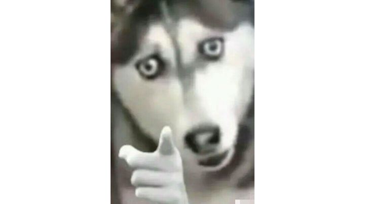 什么叫千年输出，万年奶呀（战术后仰）截图