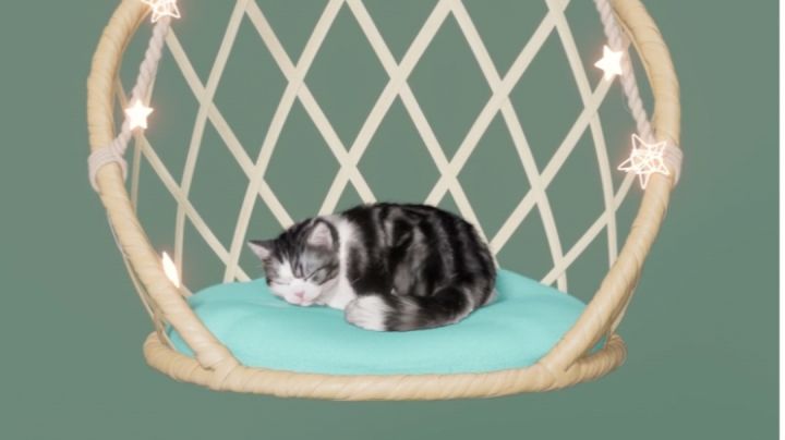 我选择猫猫可以吗截图