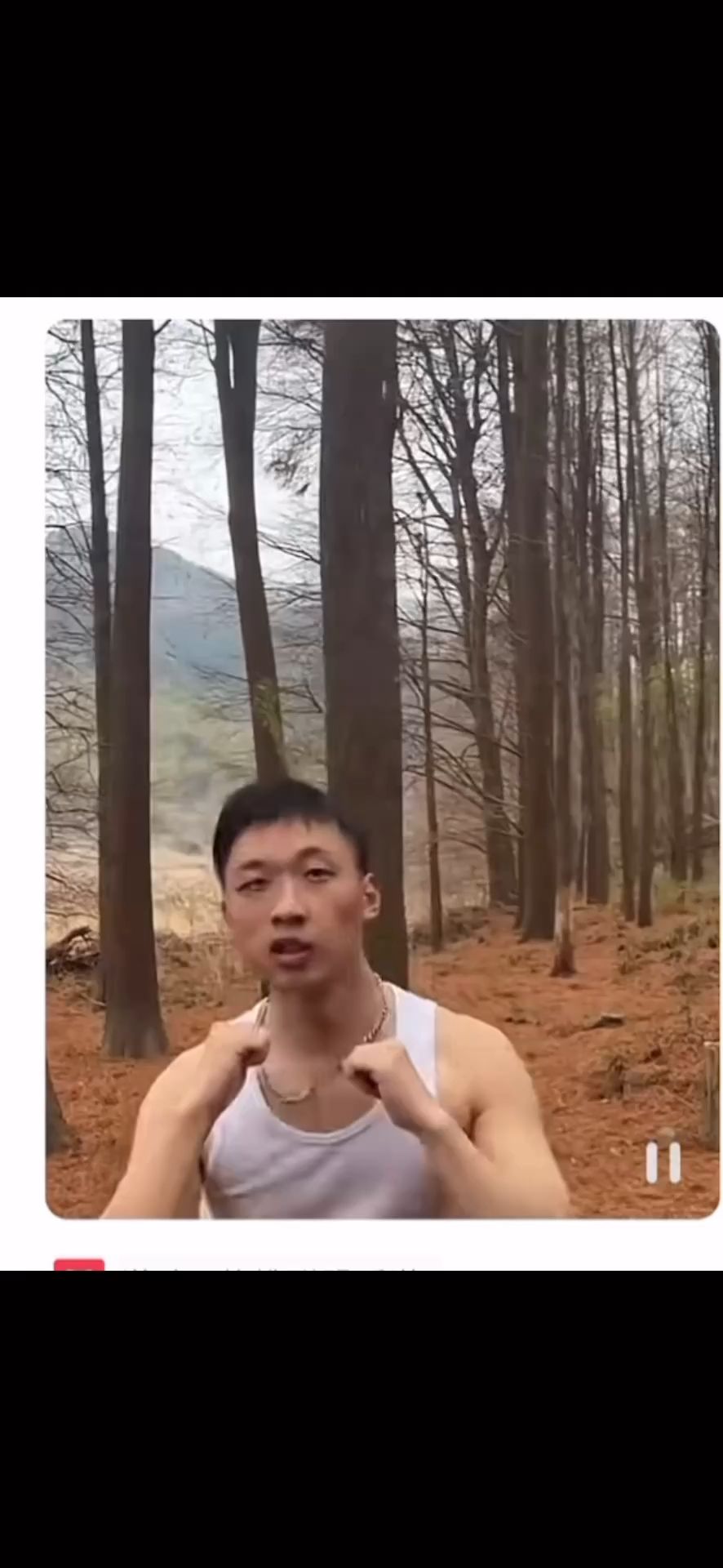 video-4262612