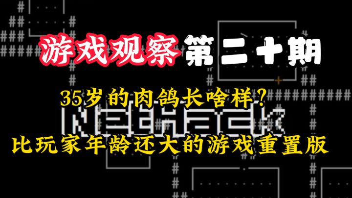 游戏观察20:比玩家年龄还大的游戏!#万物皆可肉鸽#截图