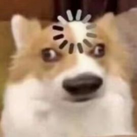 我是一个新手，这是我的存档。截图