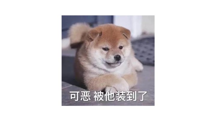 【花之舞】星夜圣诞活动纪念截图