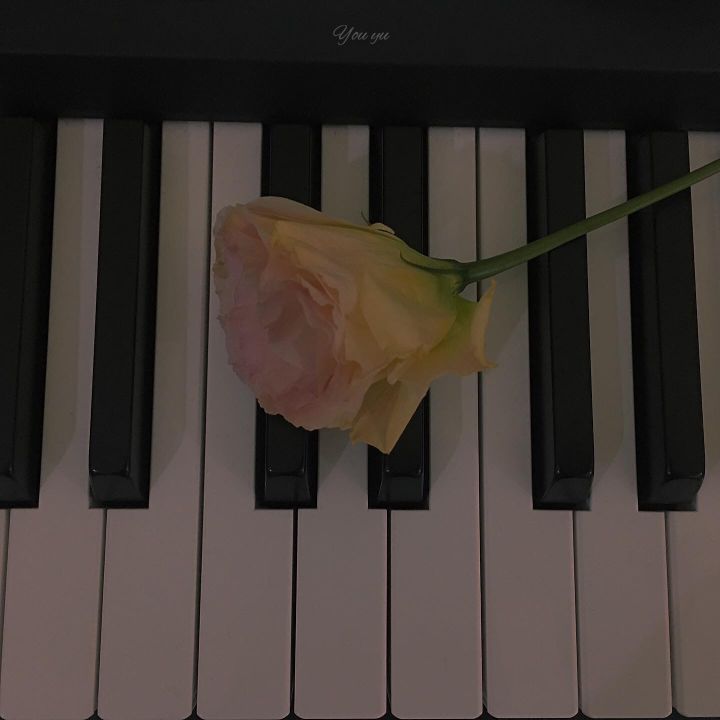 pianista_7截图