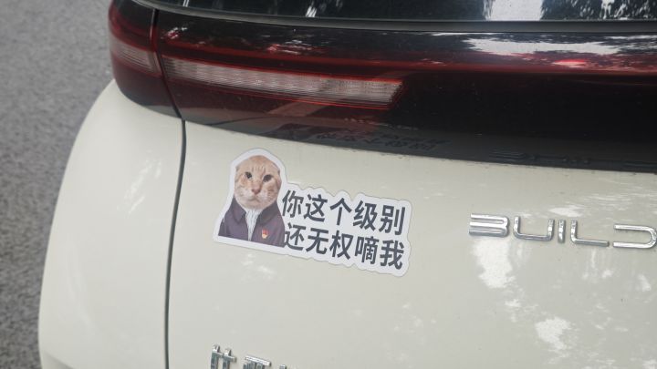 斥巨资打造的下水道奶僧截图