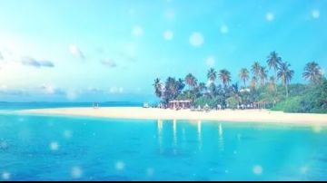 翻唱经典《踏浪》