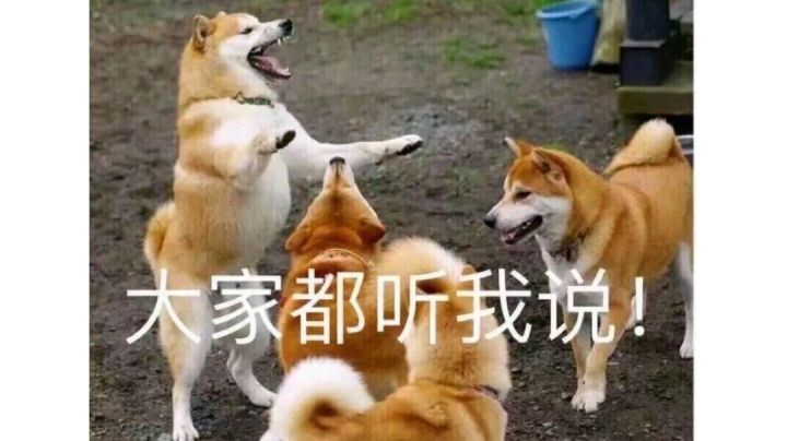 火急火燎的游戏介绍截图