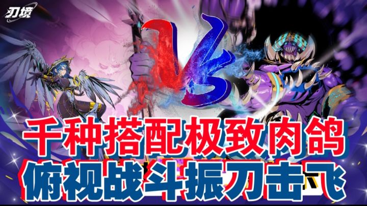 千种搭配极致肉鸽，俯视战斗振刀击飞截图