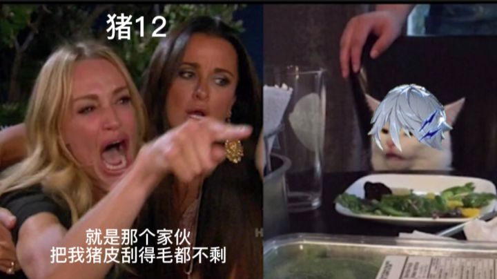 【猫之城】猪12挂机攻略 伊德牌无情刮痧机 新猪皮老猪皮通通刮干净截图
