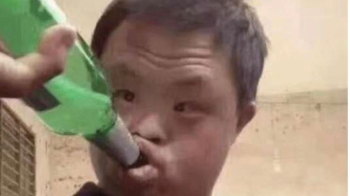 对不起我是不死鸟!!!截图
