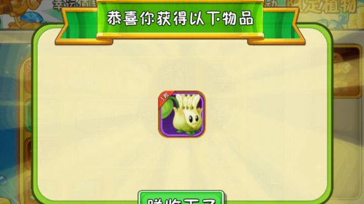 不氪金的欧洲人的账号截图