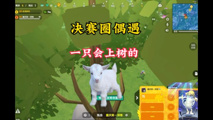 香肠派对决赛圈偶遇一个羊截图