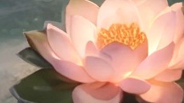 再生者装束｜邵依-香颂氤氲