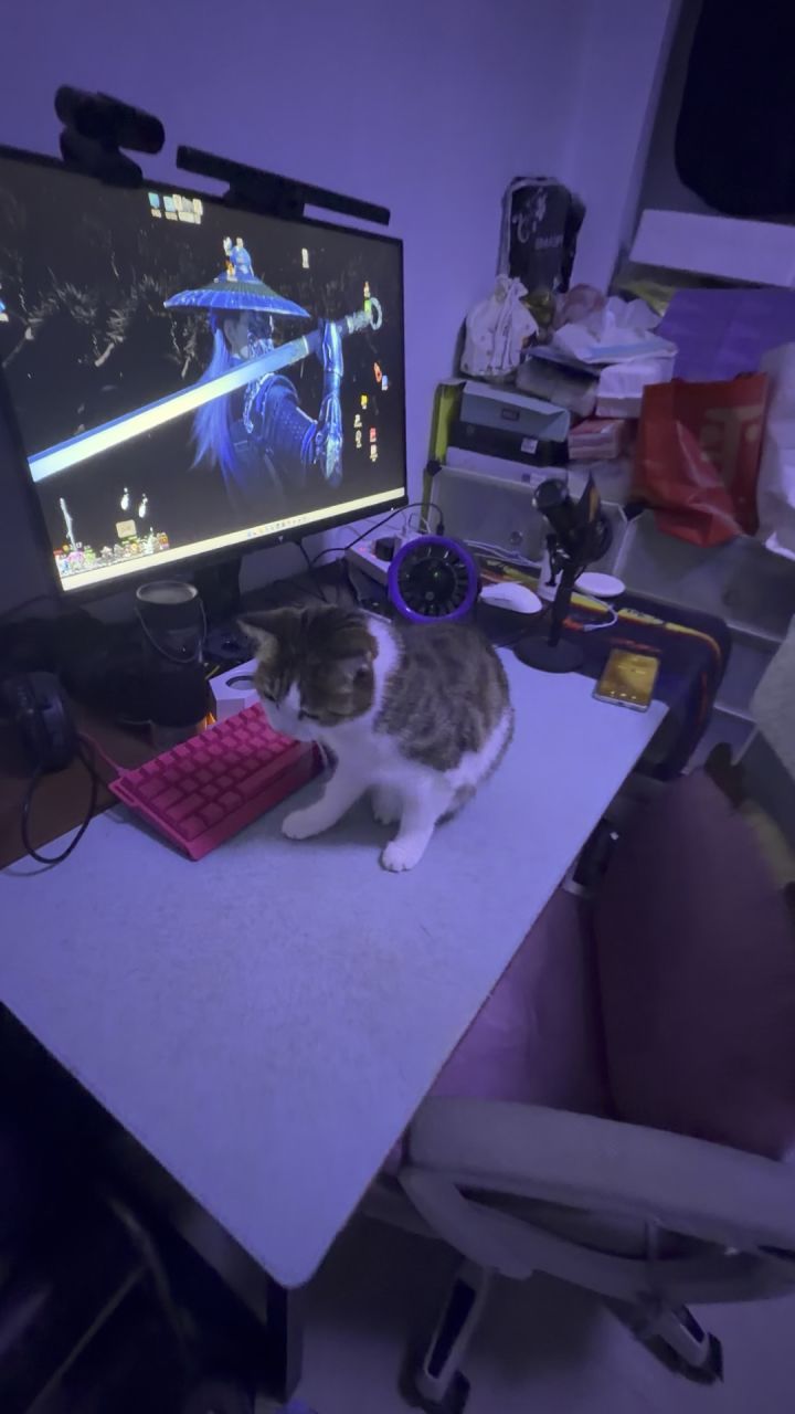 咪:我是被迫的截图