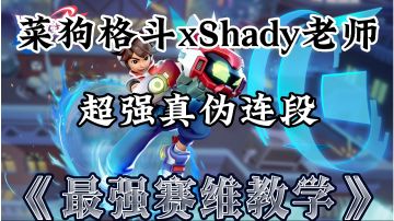 菜狗格斗xShady老师：最强赛维教学