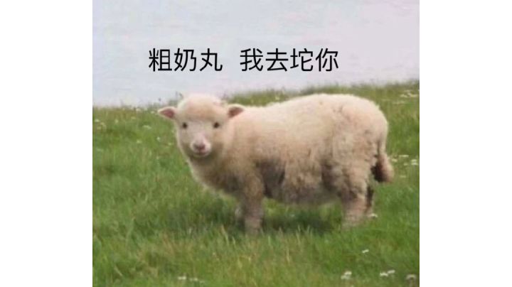 菜鸡奥萨斯之顾头不顾腚 听歌房东的猫—《银河迪厅》截图