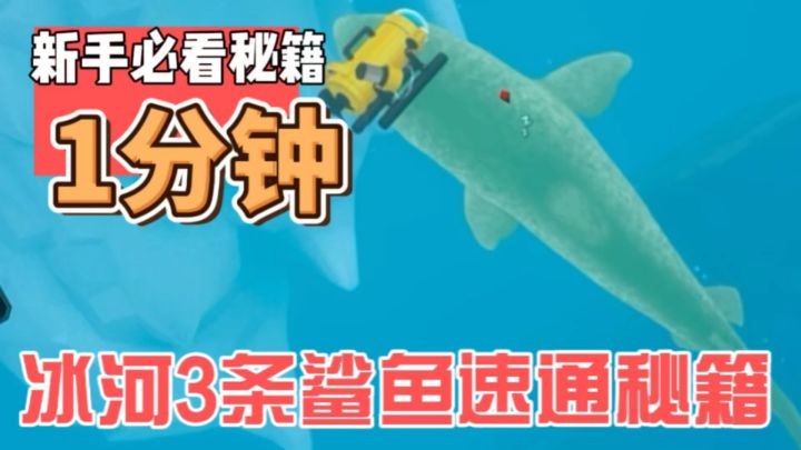 潜水员戴夫冰河抓鲨鱼点位攻略截图