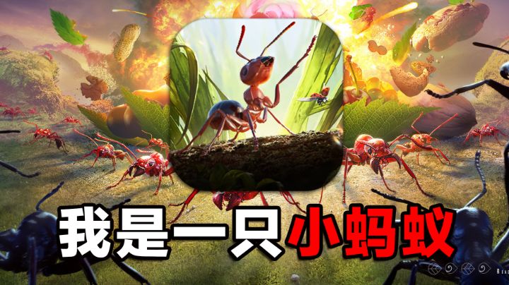 这游戏堪称最强蚂蚁模拟器#小小蚁国 公测#截图