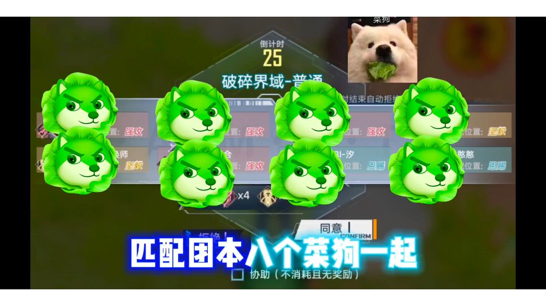 video-2594370