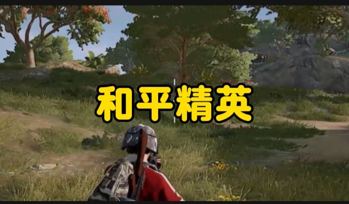 和平精英开启截图