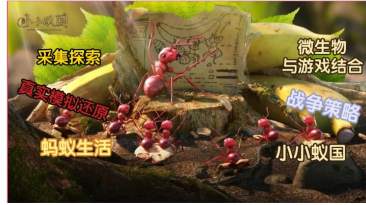 一款真实3d游戏,带你感受一下蚂蚁生活截图