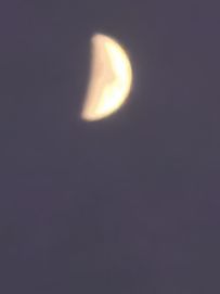 据说打三龙虾看命我觉得也是