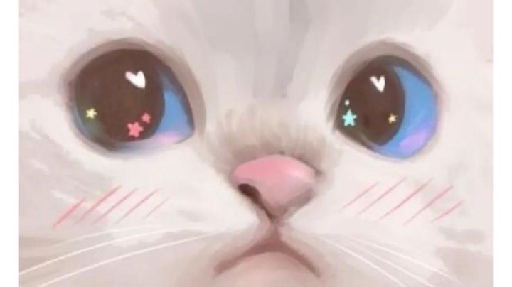 军容齐整,有内味了截图