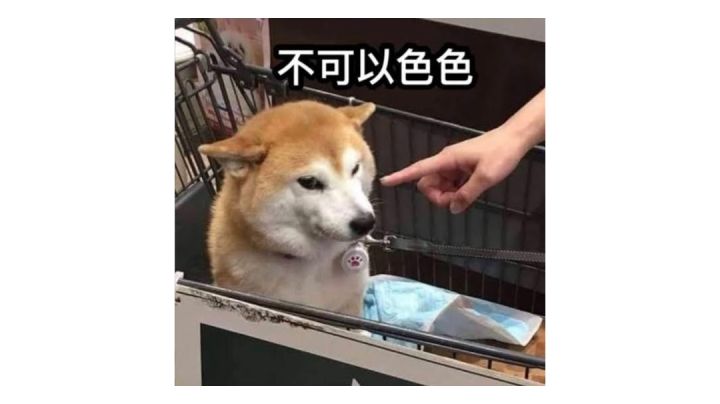 博古尔的王座 老兵难度 新手英雄截图