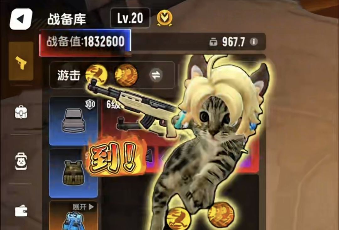video-5789004
