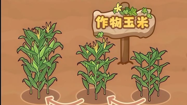 我的休闲时光截图