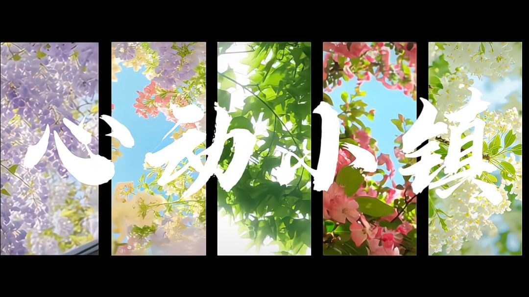 video-5793620
