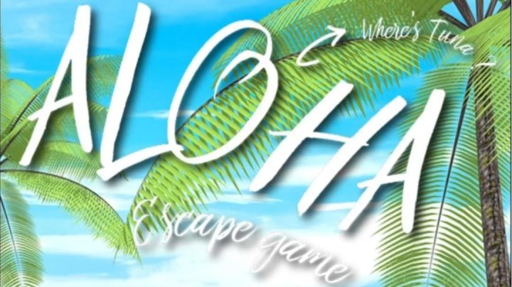 【密室逃脱】aloha（夏威夷问候你好的意思）解密游戏文字版本攻略截图
