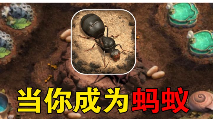 我不要当蚂蚁啊!会累死的截图