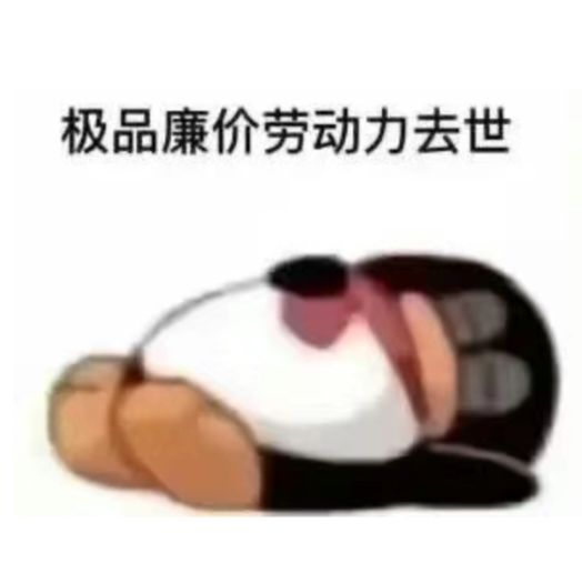 游戏bug截图