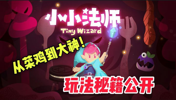 怪不得别人玩得好,原来《小小法师》这么玩截图