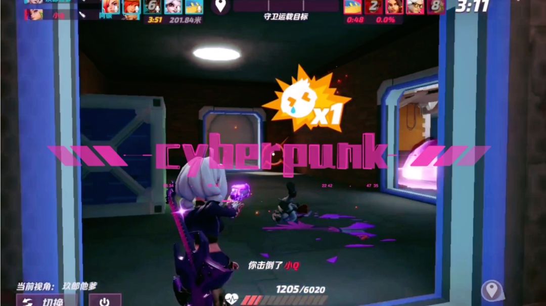 video-3808855