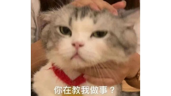 半径之内我就是真理截图