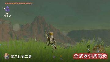 不含余料全武器词条刷满｜感谢火山章鱼🐙