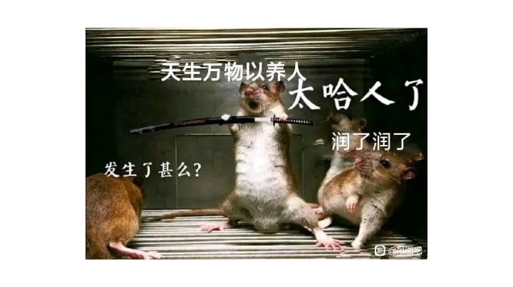 三分烬龙单刷截图