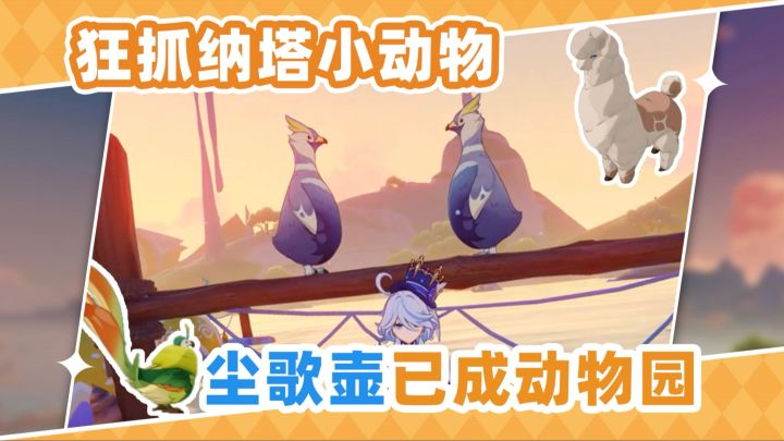狂抓纳塔小动物❗动物园已成截图
