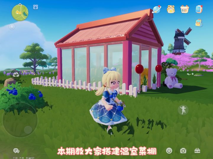 教大家搭建温室菜棚|适合小白看的教程截图