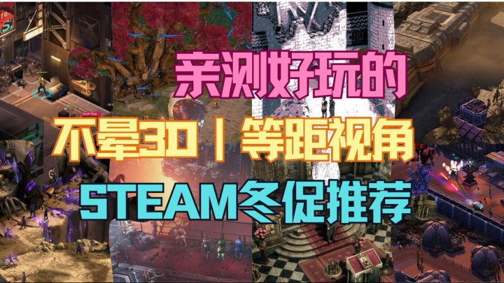 【冬促】无痛玩过退款期~十个等距视角游戏推荐~截图