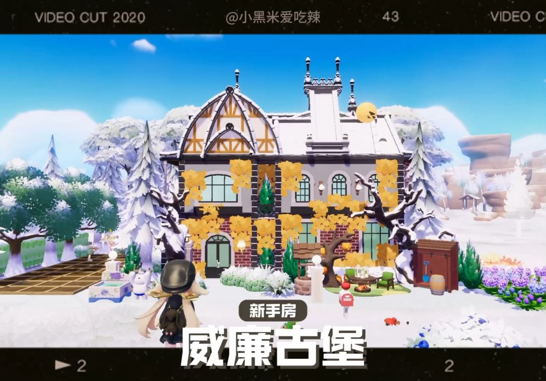 video-4808363