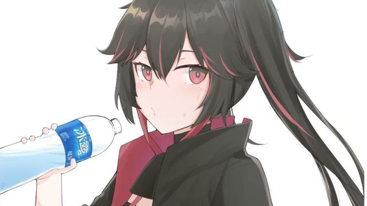 【高燃混剪】 Echo×战双截图