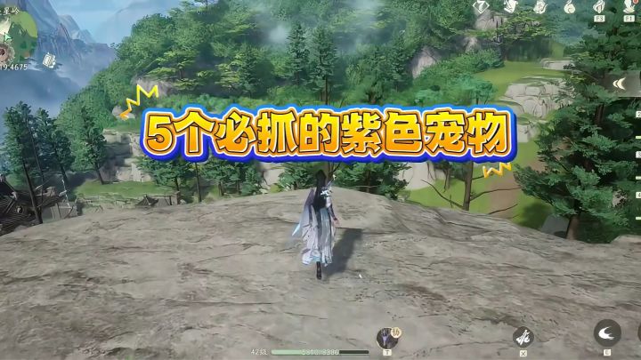 五个必抓紫色宠物，学到就是赚到！截图