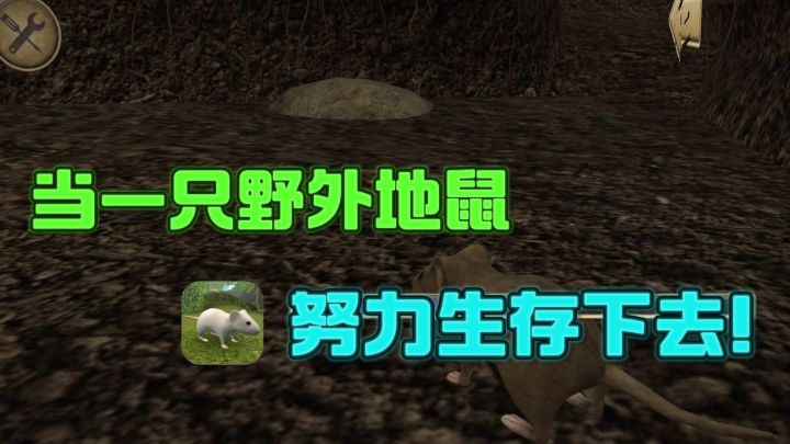 变成鼠鼠🐀，在野外努力生存下去❗️截图