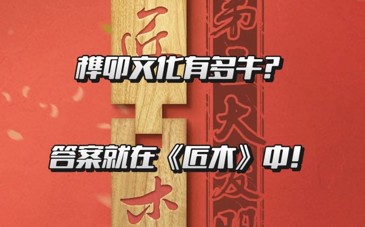 榫卯文化有多牛?答案就在《匠木》中!截图