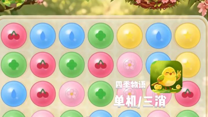 【养小鸟沉浸式治愈】解压又暖心截图