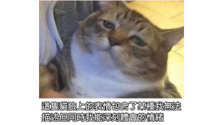 最后一把,打完收工截图