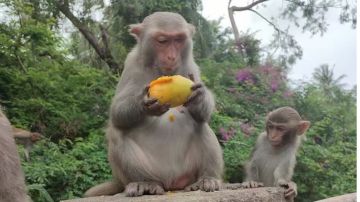 维克多冲撞之打断施法 来自人机局的快乐