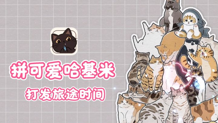 旅途解闷神器❗️超可爱的猫咪拼图🐈~截图